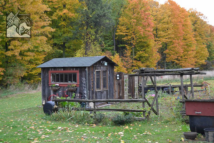 Reclaimed potting shed